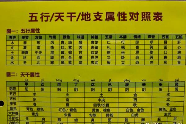 五行格局颠覆性解读:经属性格解析,原来可以这样改变命运 五行格局颠覆性解读:经属性格解析,原来可以这样改变命运