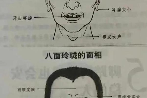 五行格局颠覆性解读:揭秘面部特征背后的性格秘密 五行格局颠覆性解读:揭秘面部特征背后的性格秘密