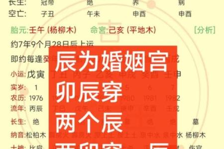 解析八字中的秘密，命理大师教你如何合婚成功