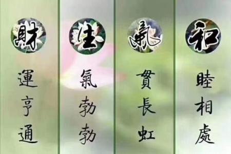 命理与养花能改运吗？揭秘花卉与命运的神奇关系