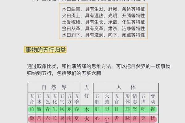 武术五行格局全解析：性格塑造的实用方法，颠覆传统观念