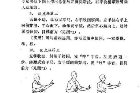 武术五行格局全解析：性格塑造的实用方法，颠覆传统观念