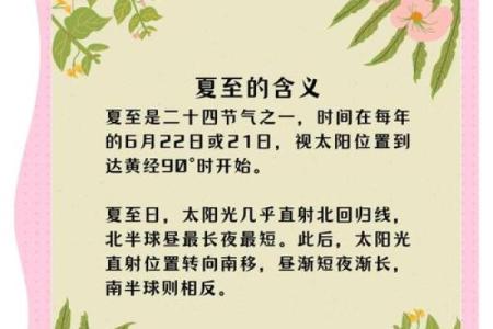 夏至：吃粽子纳凉，感受节令的养生智慧