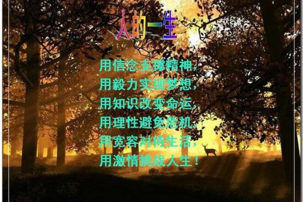 揭秘东海居士命理:能改运吗?命运不同该如何调整? 揭秘东海居士命理:能改运吗?命运不同该如何调整?