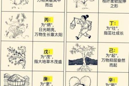 性格解析：五行与你的命运格局，你了解多少？