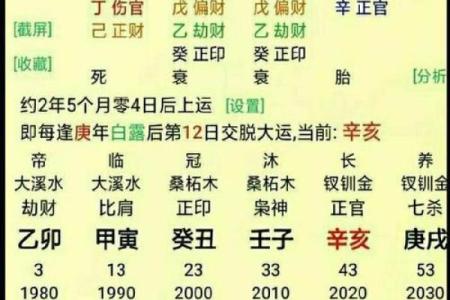 揭秘东海居士命理：能改运吗？命运不同该如何调整？