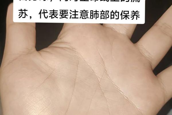 揭开手纹命理大师的秘密:合婚看什么,命运真的能改变吗? 揭开手纹命理大师的秘密:合婚看什么,命运真的能改变吗?