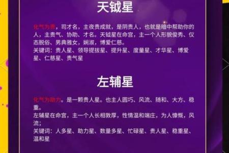 星字五行格局大揭秘：你的性格，是误区还是真相？