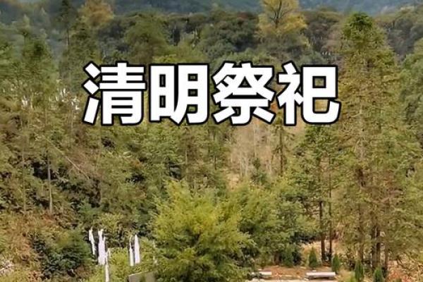 清明：祭祖扫墓，传承祖先的崇敬习俗
