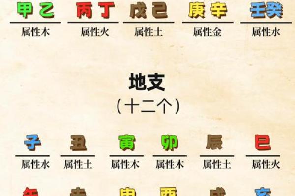 五行性格解析误区大揭秘：颠覆传统认知，你真的了解自己吗？