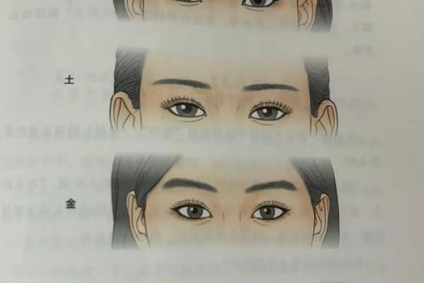 神秘五行解析：眉毛格局揭示，你的性格命运有何关联？