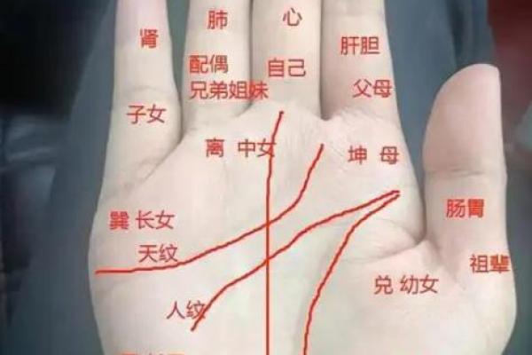 五行格局揭秘：你字究竟暗示了怎样的命运？