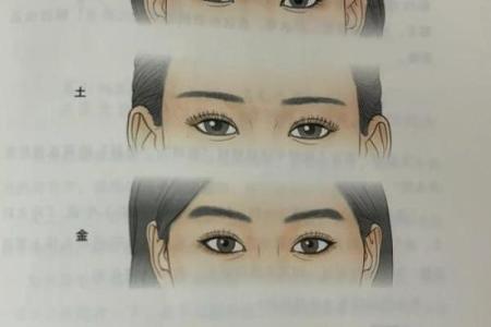 神秘五行解析：眉毛格局揭示，你的性格命运有何关联？