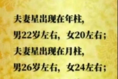 号码命理解析：合婚时应看哪些关键点，能否改变你的命运？