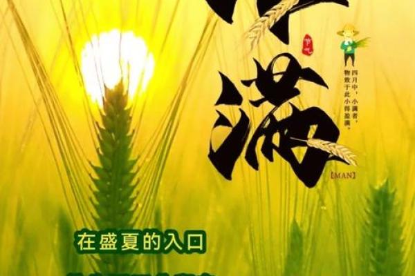 小满：农耕文化的传承与自然节令