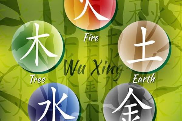 琳五行性格解析：误区破解，如何逆势而上？