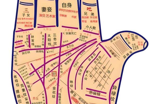 揭秘手掌命理线：能改运吗？合婚时看什么，命运如何不同？
