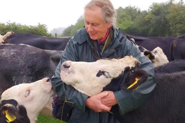 奶牛日:英国传统庆典,探索农业文化的根源 奶牛日:英国传统庆典,探索农业文化的根源