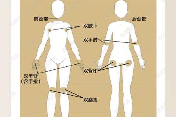 反转五行格局：从身体部位入手，重塑你的性格特质