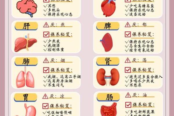 反转五行格局：从身体部位入手，重塑你的性格特质