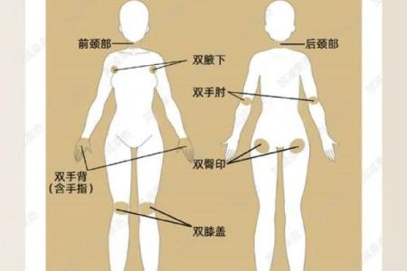 反转五行格局：从身体部位入手，重塑你的性格特质