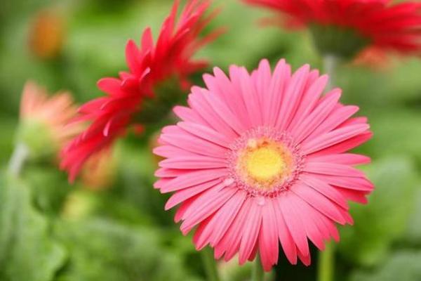 冬水命理能改运吗?揭秘命运背后的秘密 冬水命理能改运吗?揭秘命运背后的秘密