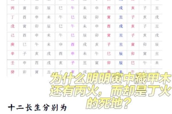 五行格局深度解析：揭秘12画木属性字的性格秘密