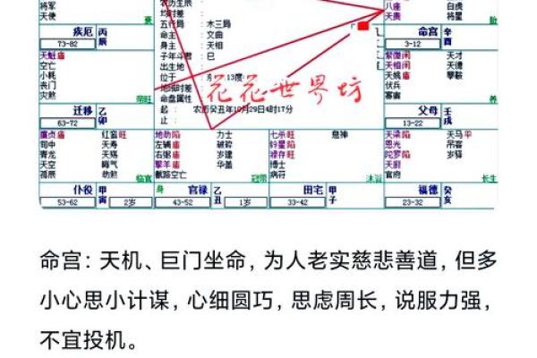 性格解析新篇章：五行喜用神查询表，带你发现不一样的自己