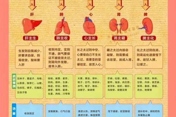 恺水之性,格局重塑:揭秘五行性格解析的实用之道 恺水之性,格局重塑:揭秘五行性格解析的实用之道