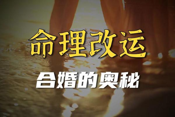 揭秘徐汇命理风水,能改运吗?合婚看什么?命运差异如何破解 揭秘徐汇命理风水,能改运吗?合婚看什么?命运差异如何破解