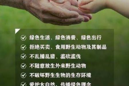 世界环境日：关注地球家园，共同守护绿色未来