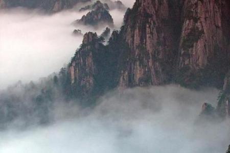 五行格局颠覆性解析：属木之人反而如何获得成功？