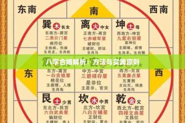 命理之根解析：合婚看什么？八字中的关键因素
