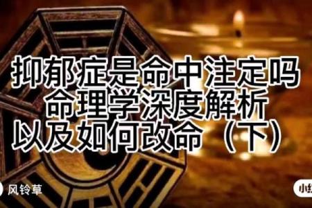 命理看自律能改变命运吗？深度解析