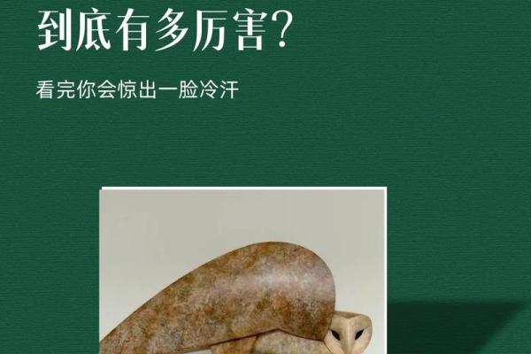 性格解析新视角：汤五行属水，如何洞察并优化你的格局？