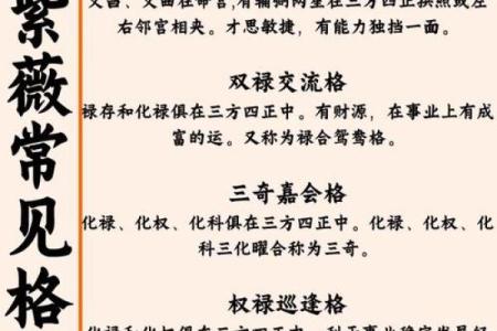 艺人紫微命理深度揭秘：能通过八字改运吗？合婚要注意哪些关键点