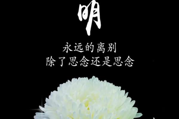 清明节：祭祖踏青，感悟生命与自然的和谐