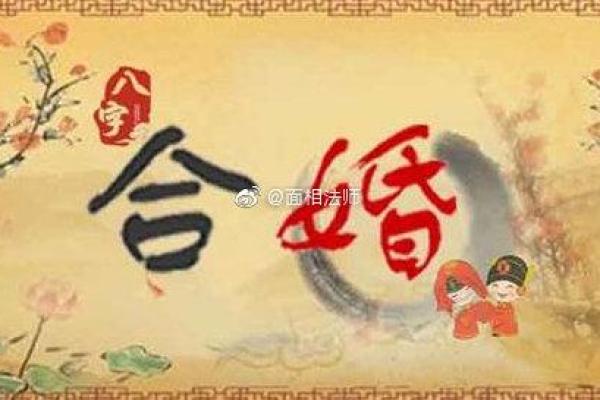 朝阳命理度揭秘:八字合婚能否逆转命运?命运为何差异如此大 朝阳命理度揭秘:八字合婚能否逆转命运?命运为何差异如此大