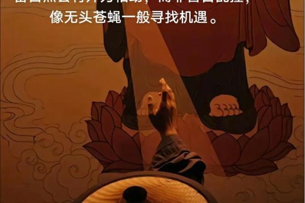 揭开东海居士命理的神秘面纱：命运不同如何运用八字改运？