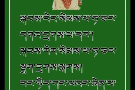 三月三：藏族节日中的养生秘笈与自然启示