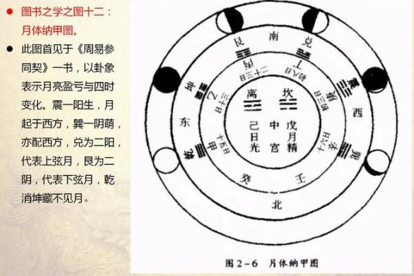 纳甲五行格局反而提升运势:意想不到的实用技巧 纳甲五行格局反而提升运势:意想不到的实用技巧