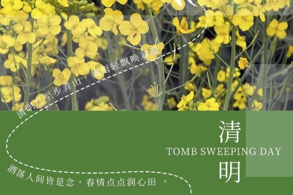 四月四日：清明节，感悟自然与生命轮回