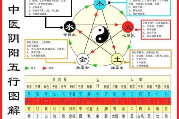五行性格解析新视角：跳出误区，如何通过五行改变命运？