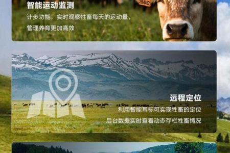国际畜牧日：关注动物福祉，推动可持续养殖文化