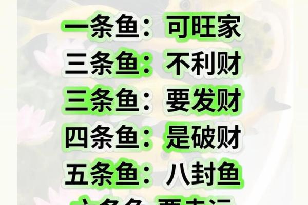 五行格局全解析：鱼的个性特点，如何利用它来提升人际关系？