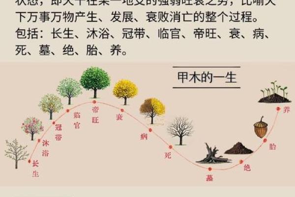 五行格局揭秘：金行业性格解析，如何扬长避短？