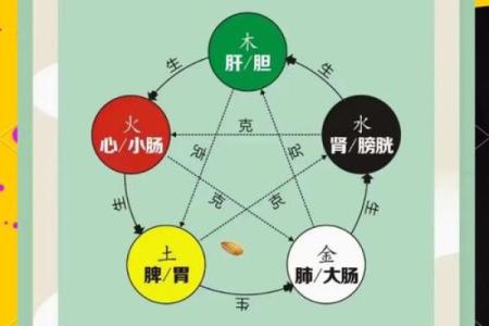 鲁五行格局揭秘：性格解析中的五行密码