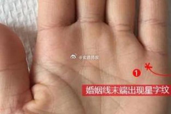 所罗门掌纹命理解密：合婚看什么？能改变命运吗？