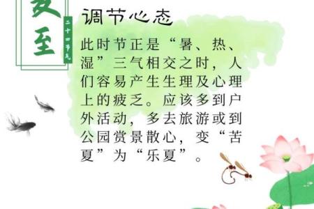 六月节气：夏至养生，调理身体平衡