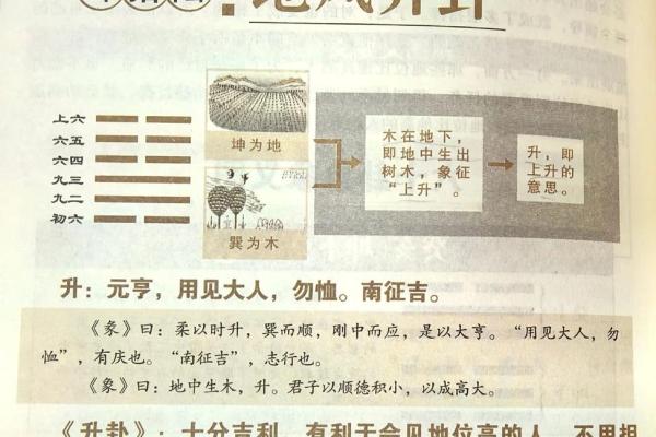 如何改变地字五行运势？五行格局重塑指南